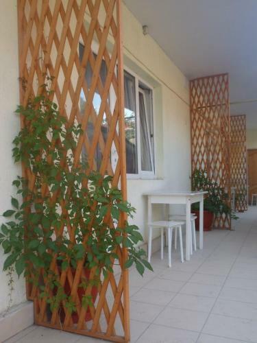 Hostal Tatyana Guest House