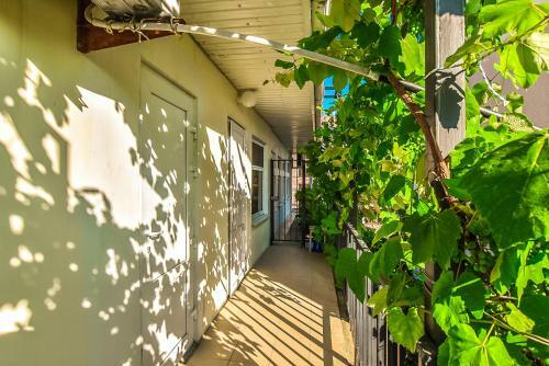 Hostal Guest House "golubaya Laguna"