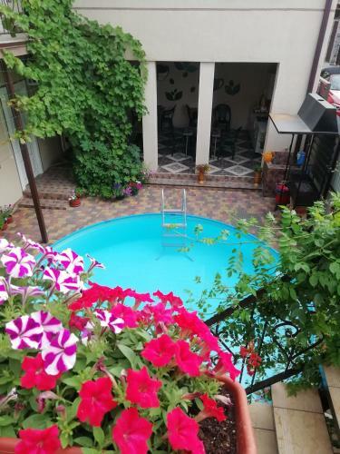 Hostal Lagrein Guest House