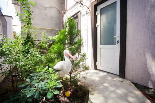 Hostal Akvatoria