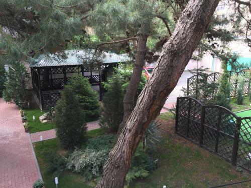 Hostal Guest House Sosnovaya Dacha