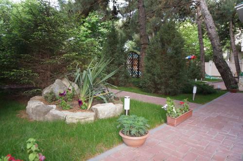 Hostal Guest House Sosnovaya Dacha