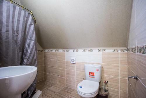 Hostal Guest House Barabulya