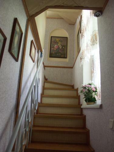 Apartments Koral