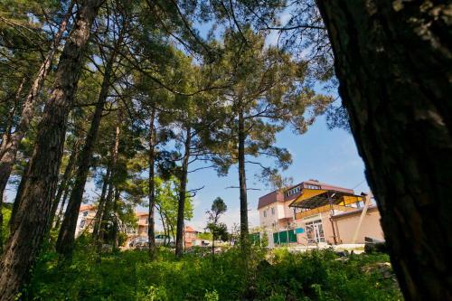 Hostal Guest House Sosnovka