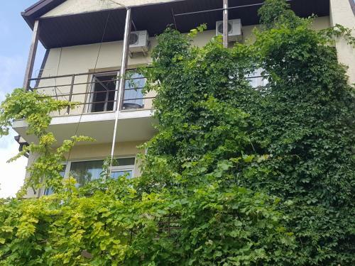 Hostal Krasnaya Delux