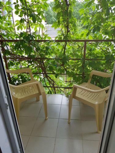 Hostal Krasnaya Delux
