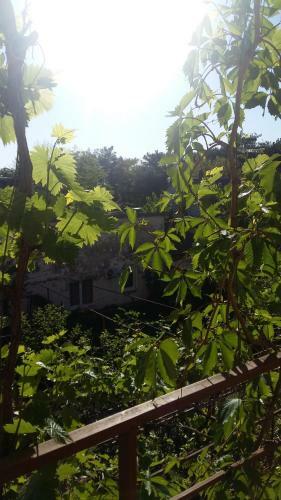 Hostal Krasnaya Delux