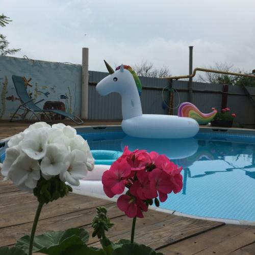 Hostal Guest House Marina