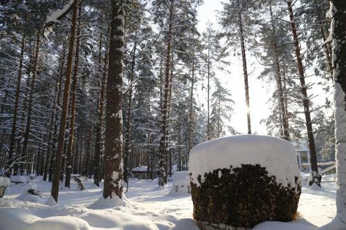Usadba Meshcherskaya Park-hotel