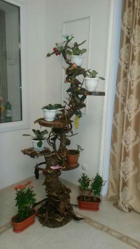 Hostal Guest House Sputnik