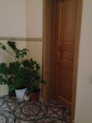 Hostal Guest House Miladom