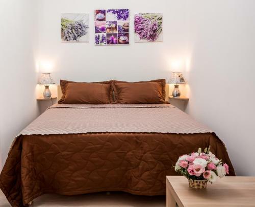 Hostal Karlovy Klyuchi