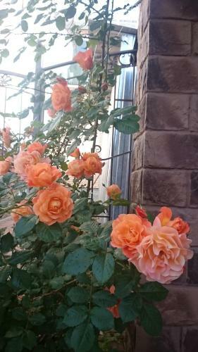 Hostal Guest-house Hermes