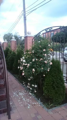 Hostal Guest-house Hermes