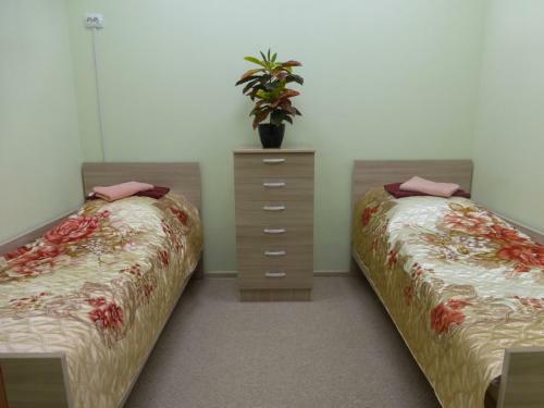 Hostel Kedr