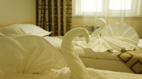 Hotel Irkut
