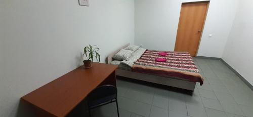 Hostel Mir