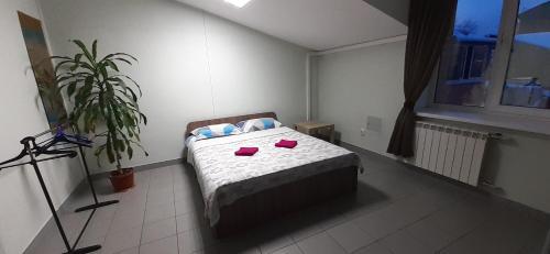 Hostel Mir