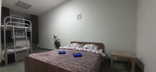 Hostel Mir