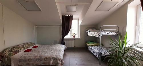 Hostel Mir