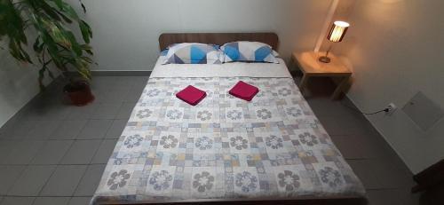 Hostel Mir
