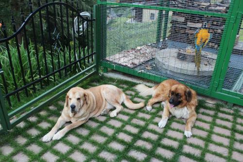Aparthotel Apartm�ny A Chalupa Tara