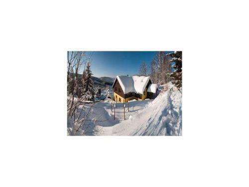Holiday Home Albrechtice