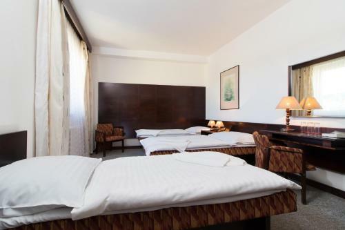 Hotel Merkur - Jablonec Nad Nisou