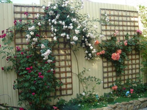 Hostal Guest House Artik Dzhulietta