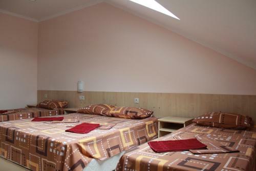 Hostal Vinograd Guest House