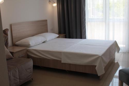 Hostal Vinograd Guest House