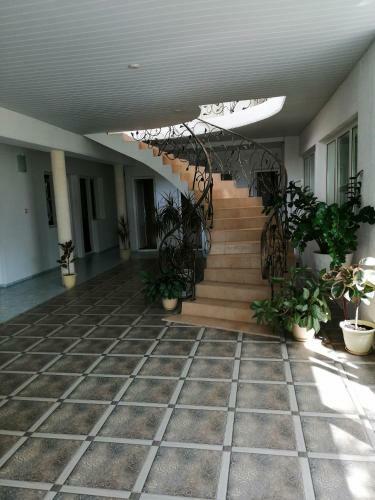 Hostal Vivat Guest House
