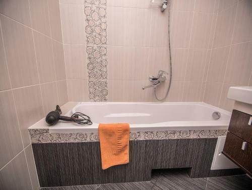 Apart39 On Borzova 93v
