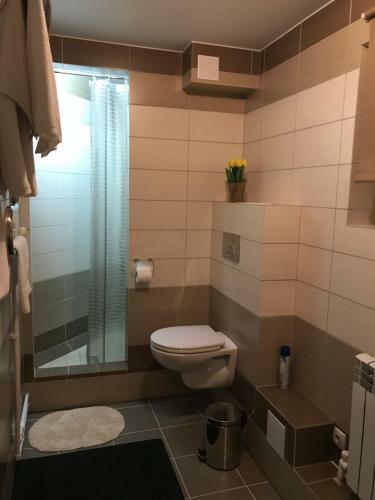 Hostal Guest House Aviator
