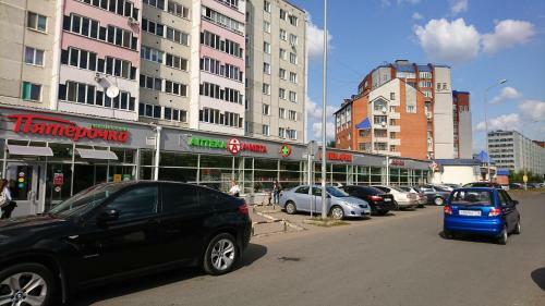Apartment At Metro Prospekt Victory