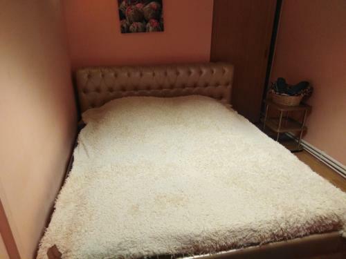 Hotel Butlerov Hostel