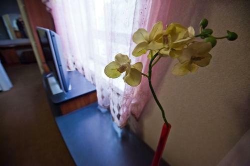 Hotel Abrikol/germes 27