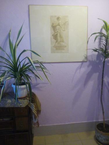 Apartamento Otdoxni Na 5