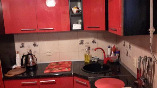 Apartment On Ksenii Ge 10
