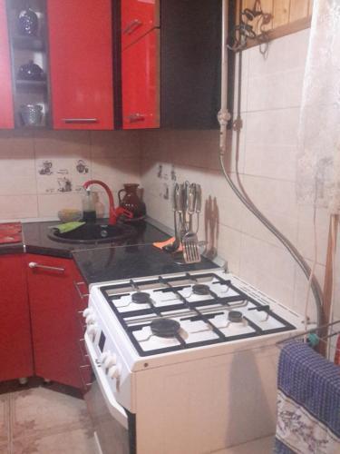Apartment On Ksenii Ge 10