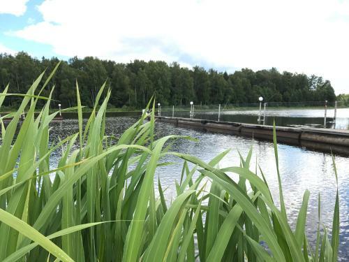 Agroturismo Fyodorovskoe Podvor"e