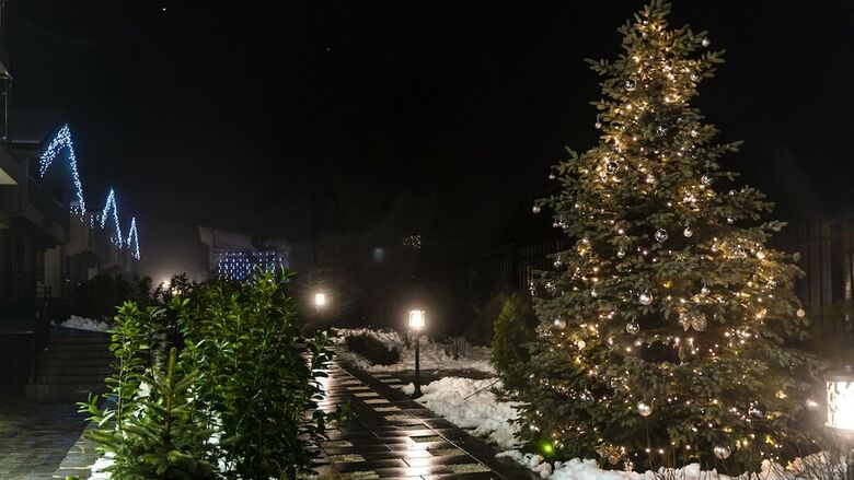 Hills Polyana Hotel