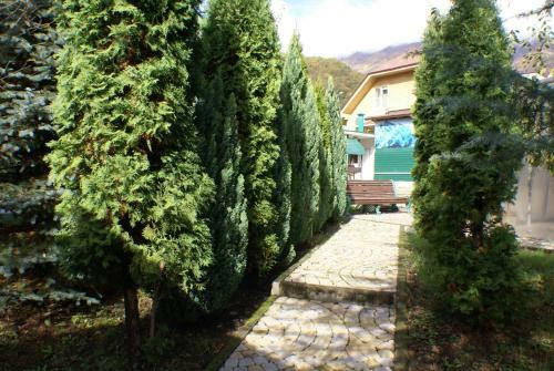 Hostal Green House