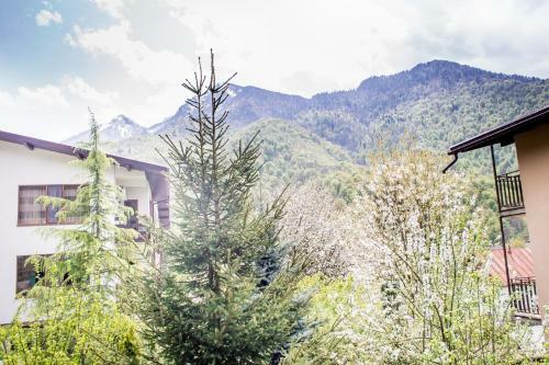Hostal Green House