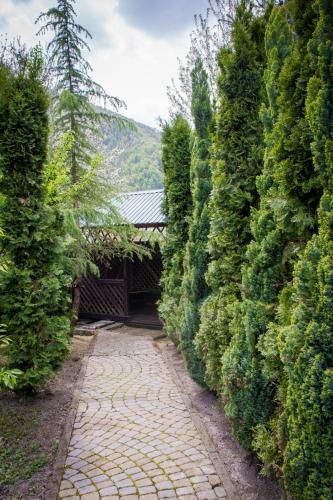 Hostal Green House
