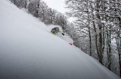 Chalet Mobius