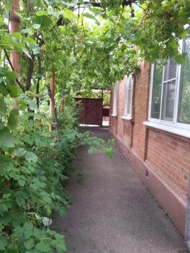 Albergue ?????? �??????�