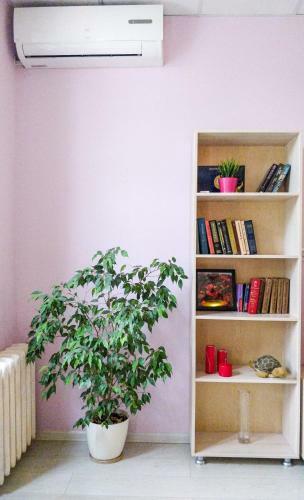 Albergue Telegraf