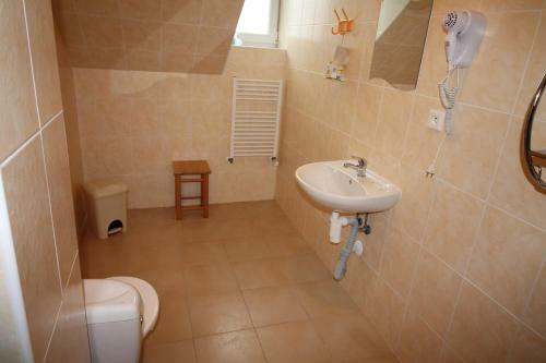 Hostal Penzion U Eli?ky Bed?ichov V Jizersk�ch Hor�ch